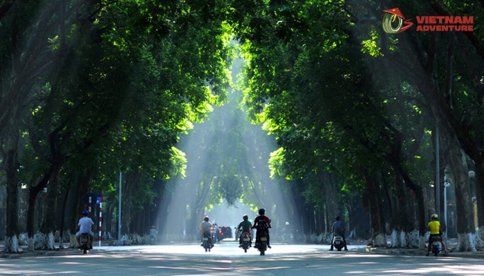 Cozy and serene streets in Hanoi City