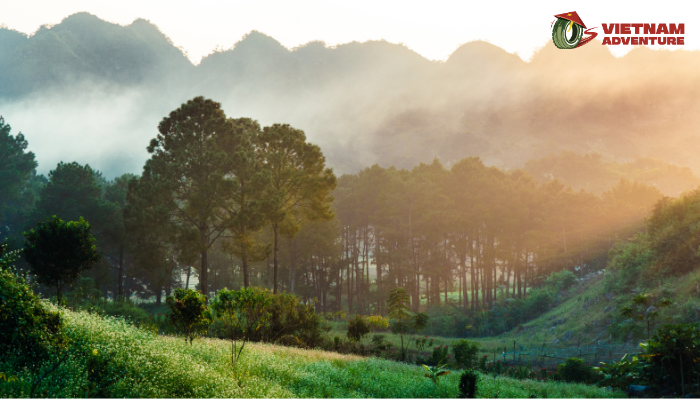 Immersing in Moc Chau's majestic landscapes